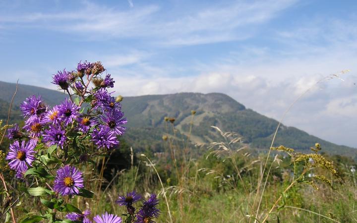 Catskills in the Spring