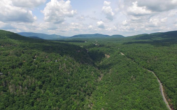 catskill park