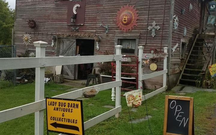 Ladybug Barn Antiques 