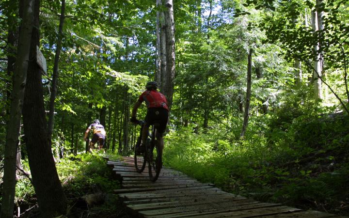 Mountain Biking 