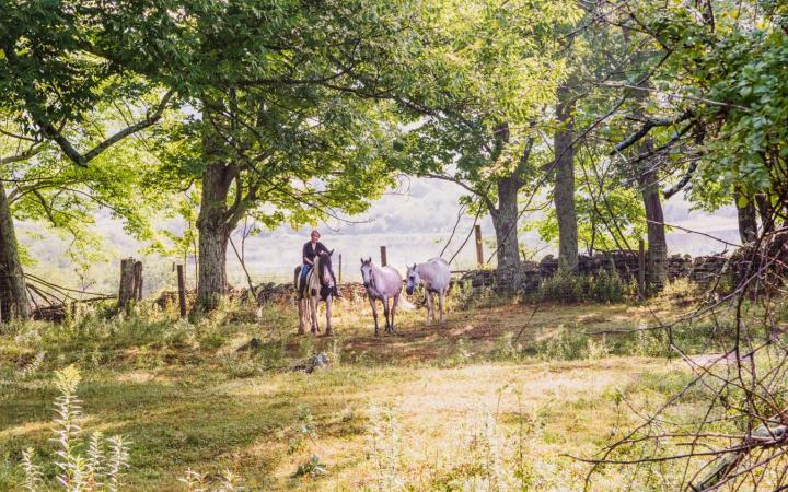 Vidbel Mountain Homestead