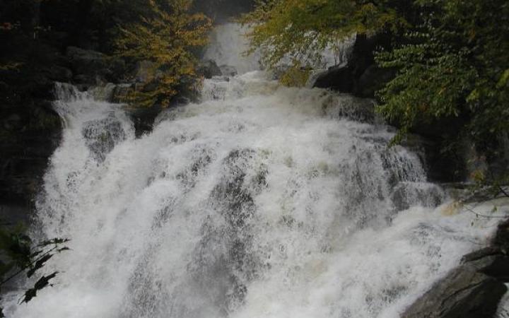 fawn's leap