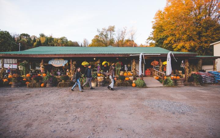 Catskills country store in the fall