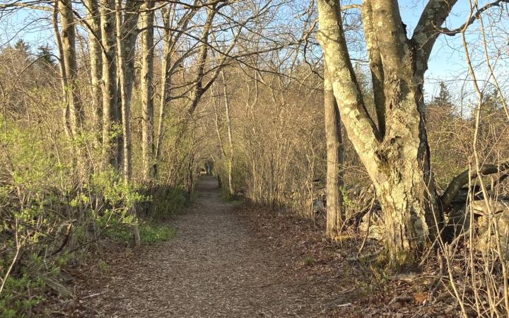 Vanderbilt Park Walking Path