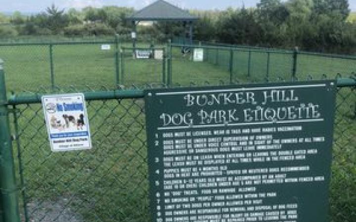 dog park rules