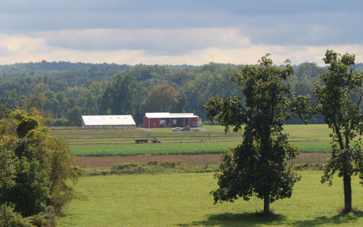 farm