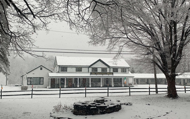 Shamrock house Winter