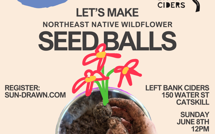 Left bank ciders seedballs