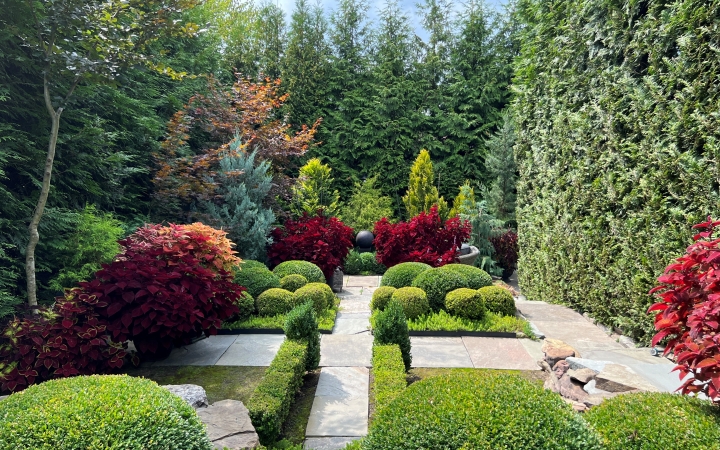 garden at hill street