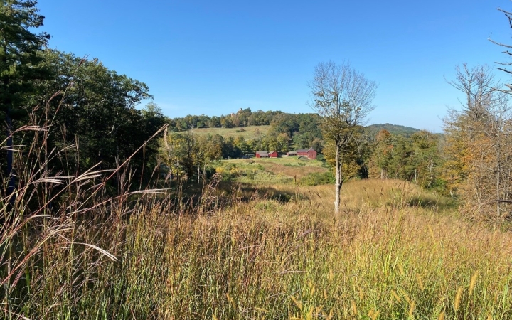 "What's Missing?" Artworks in the Olana Landscape