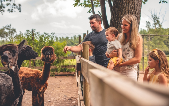 Bailiwick Animal Park & Riding Stables