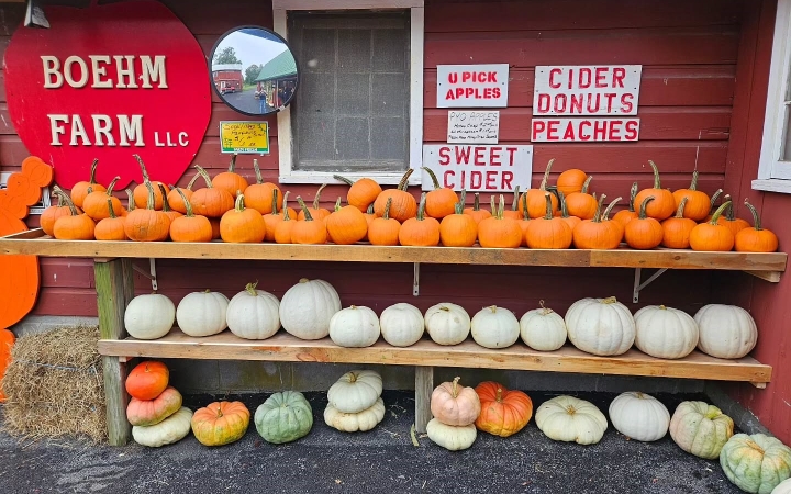 Boehm farm