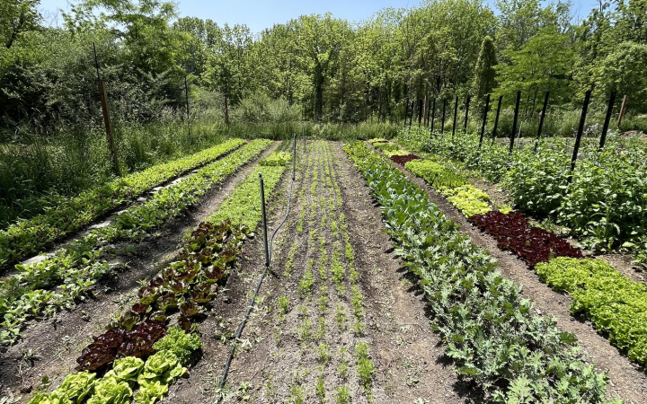 Vernon-Street-Farm-Athens-NY