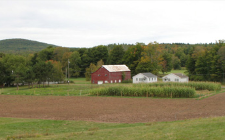 scribner-hollow-farm-stand-northern-catskills-home-made-jams-non-gmo