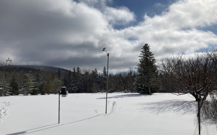 mountain-top-arboretum-winter-tannersville-ny