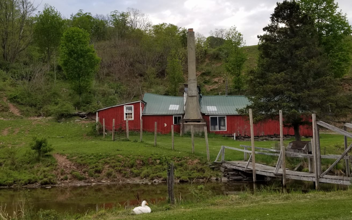 Maple-hill-farms-prattsville-ny