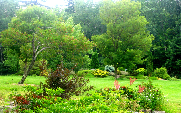 mountain top arboretum west meadow