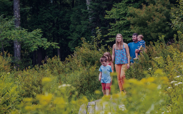 Spring Walk in the Catskills