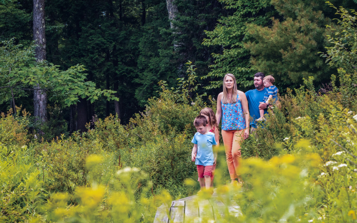 Spring Walk in the Catskills