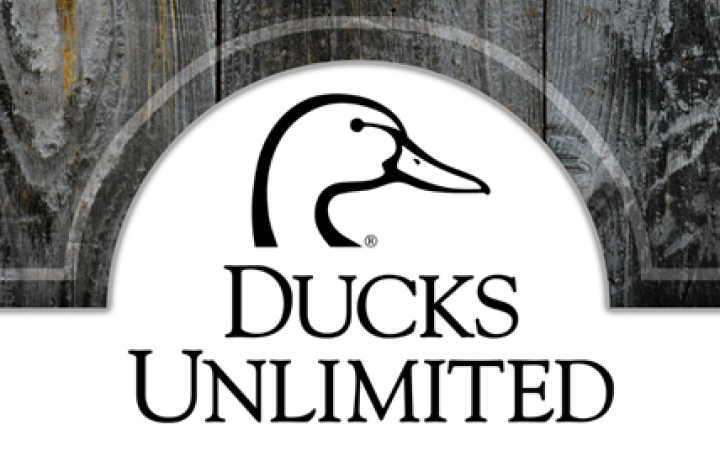 Great-Northern-Catskills-Ducks-unlimited-Greene-County-Chapter