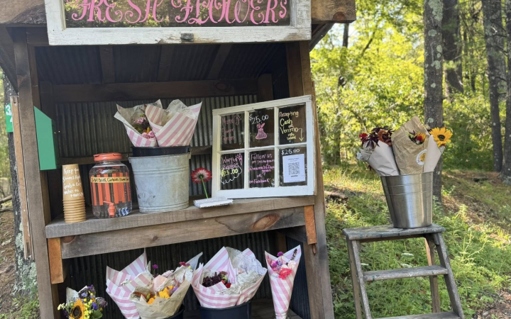 Mama-B's-Flower-Garden-catskill-ny