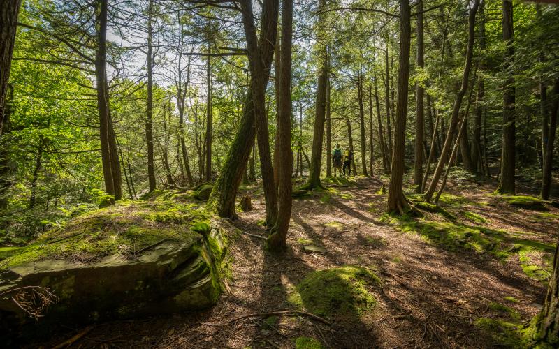 Best Hiking Trails in Catskills: Unforgettable Outdoor Adventures